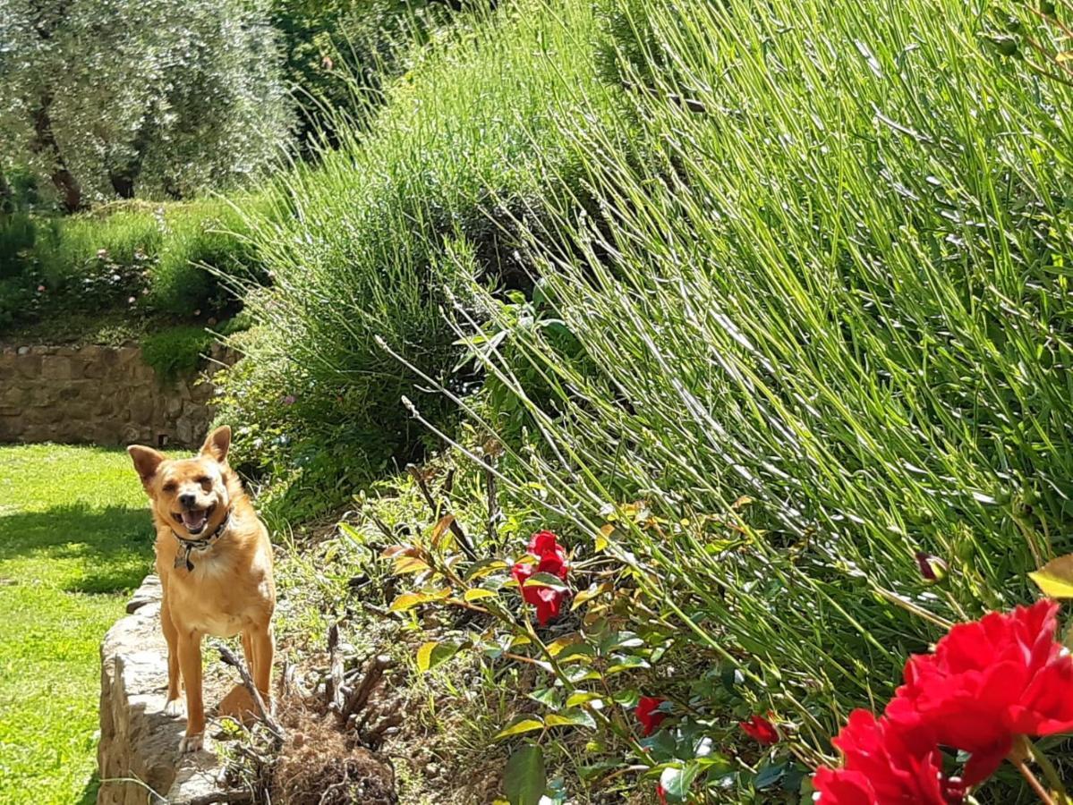 Agriturismo Fonteregia Montecatini Terme Bagian luar foto
