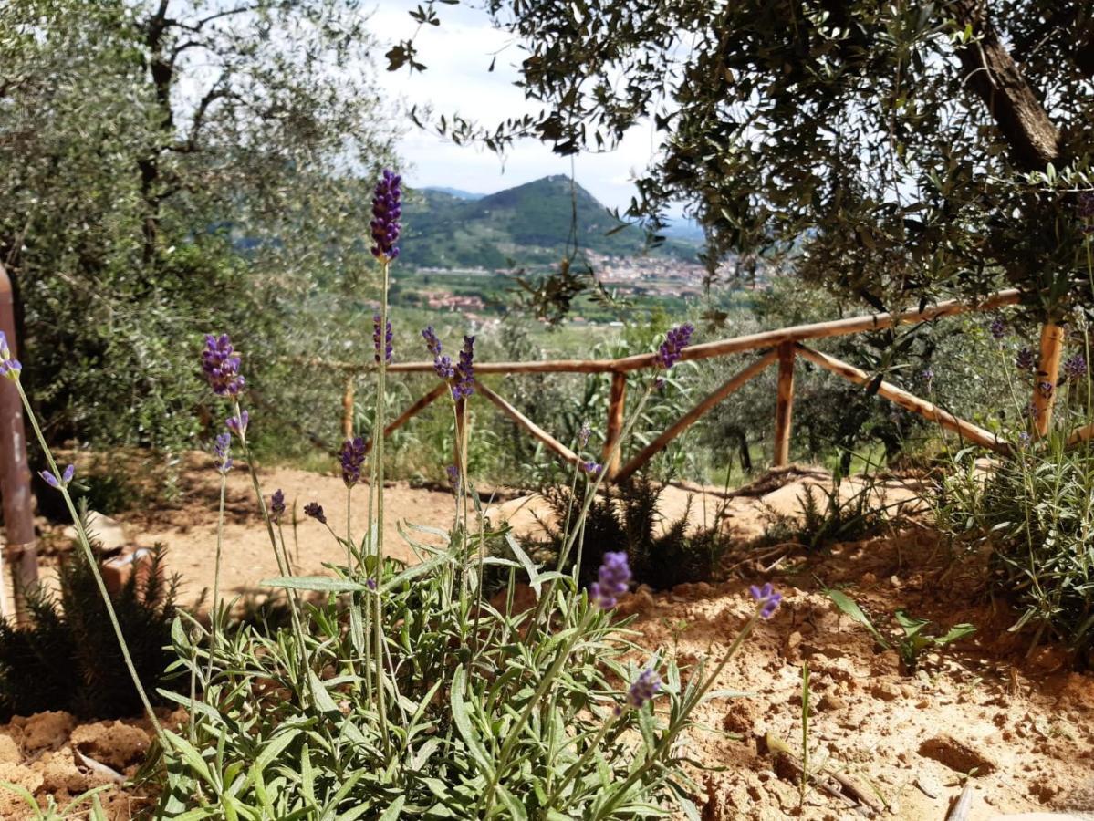 Agriturismo Fonteregia Montecatini Terme Bagian luar foto
